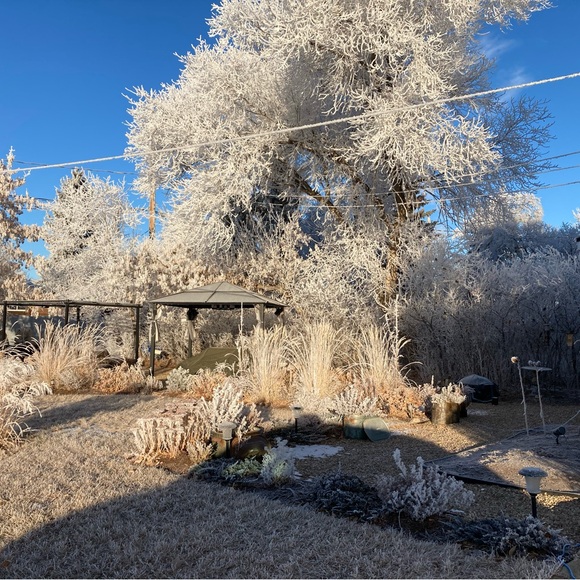 Meet your Posher, Jennifer - Picture 17 of 17